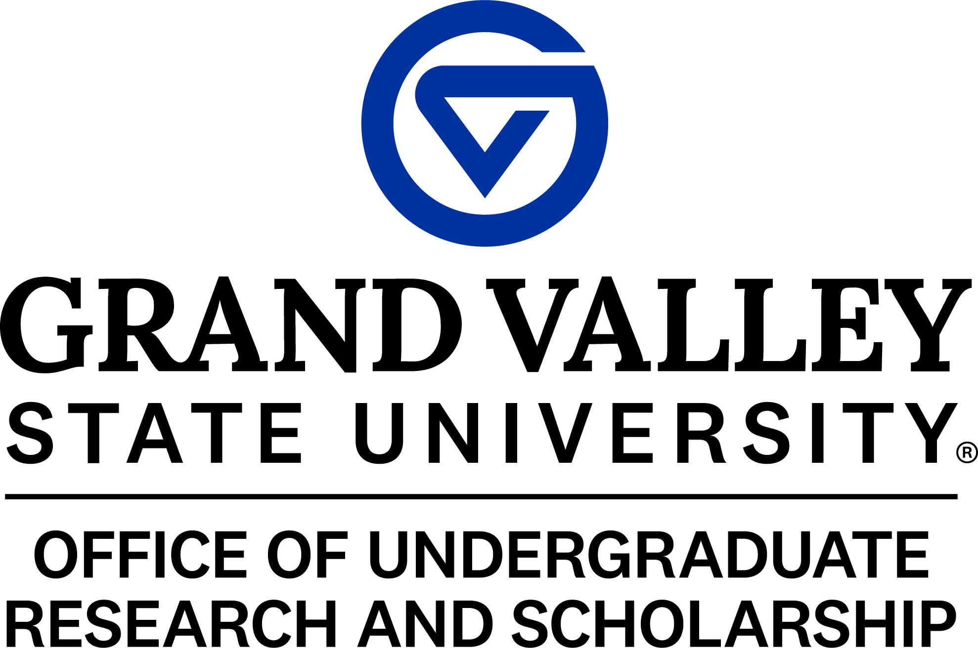 GVSU & OURS Blue and Black Top